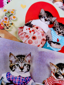 Kitsch kittens greetings cards