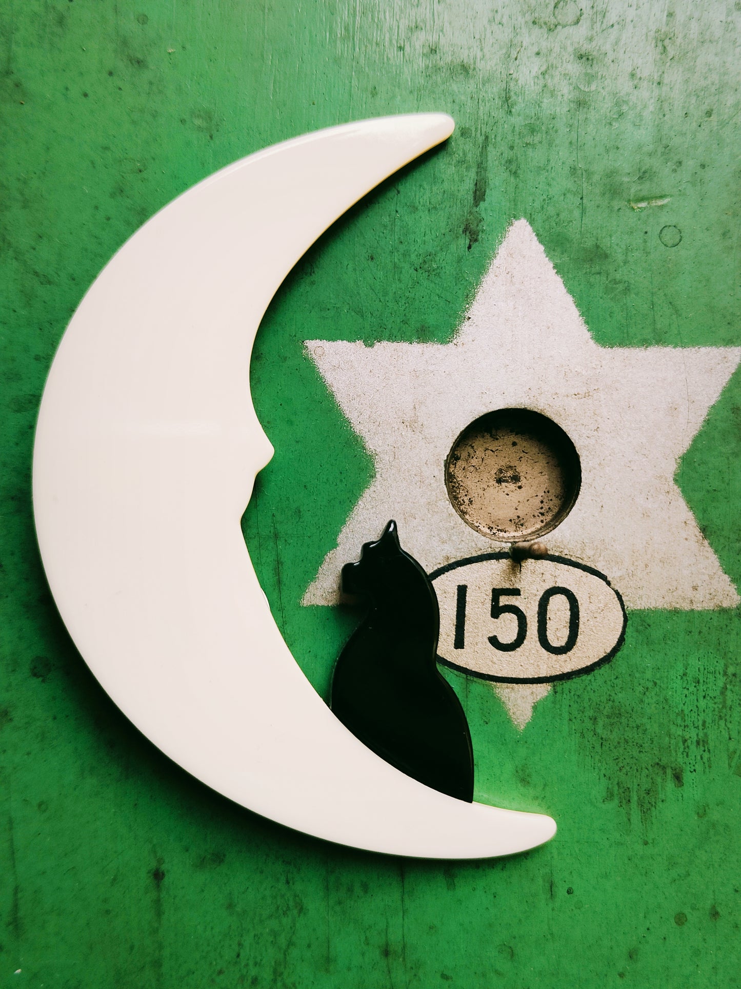 Modern french bakelite brooches
