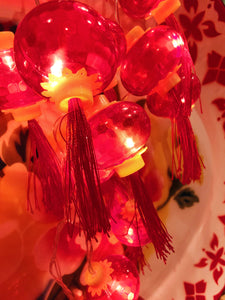 Bright colour strings of Chinese lantern lights for a fun Kitschmas!

Indoor use only

USB fitting, 3 pin plug included,led bulbs,not replaceable 

. 

