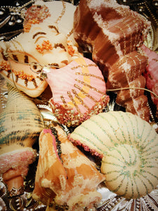 Kitsch seaside Seashells