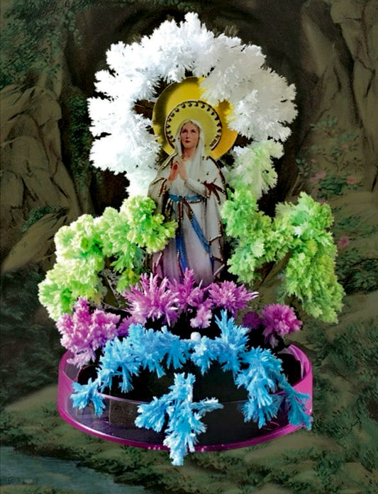 Lady of lourdes magic tree