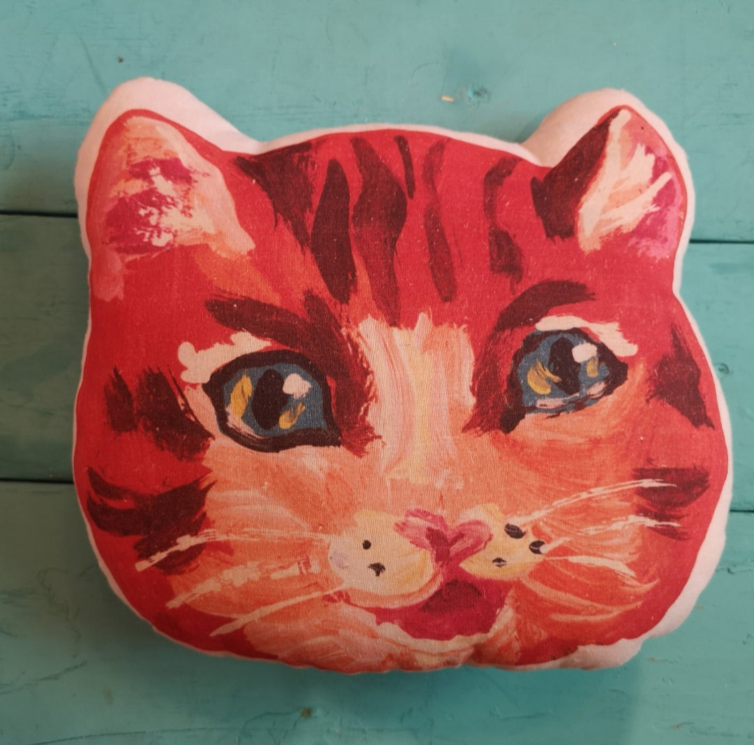 Cat face cushion